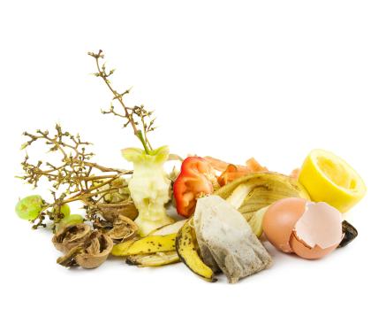 Obraz na stronie bioodpady_i_zywnosc.jpg